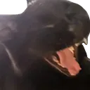 screm
