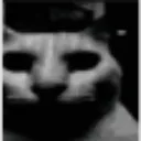 CatAxui