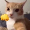 fight