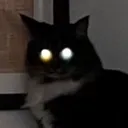 eldritchhorrorcat