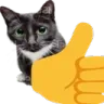cat_thumbsup