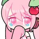asakuratears