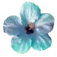 flowerblu