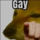 Gay custom emote | Hell's . Paradise . OwO . PokéTwo