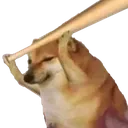 dog2