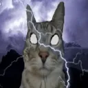 thundercat