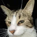 KittySmirk