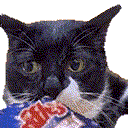 Cateat CatEat Discord Emoji