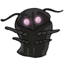 moth
