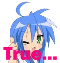 KonaTrue