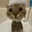 bathcat bathcat