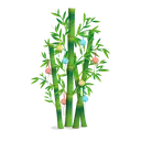 Bamboo