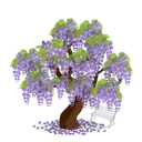 Wisteria