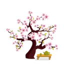 CherryBlossom CherryBlossom