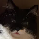 GE_FXWhat