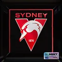 AFLMINT_SYD