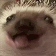 hedhog