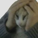 ugh