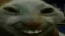 xdd