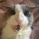 TheNucleon