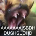 AAAAAAAISBDHDUSHSUDHD