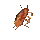Dancing_Roach