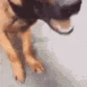 yousmell