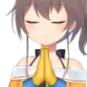Novi_Pray