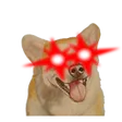zyruviGodGamer