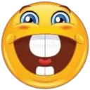 dumbhappy dumbhappy