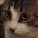 huh
