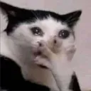 ain