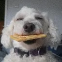 highcracker