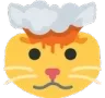 cat_explode