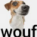 wouf