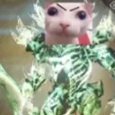 MadgeCrota
