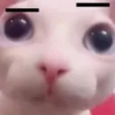 DeFukUdoin