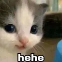 hehe