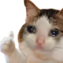 ThumbsUp