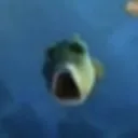 gorp