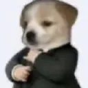 biscuitLoL