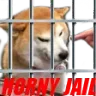 bonk