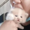 nom