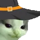 Meowdy Meowdy