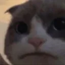 hopirl