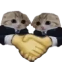 cathandshake