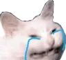 catcry