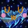 suwupsis