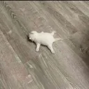 zzzzzzzzzz zzzzzzzzzz