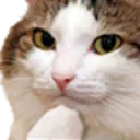 catHmm